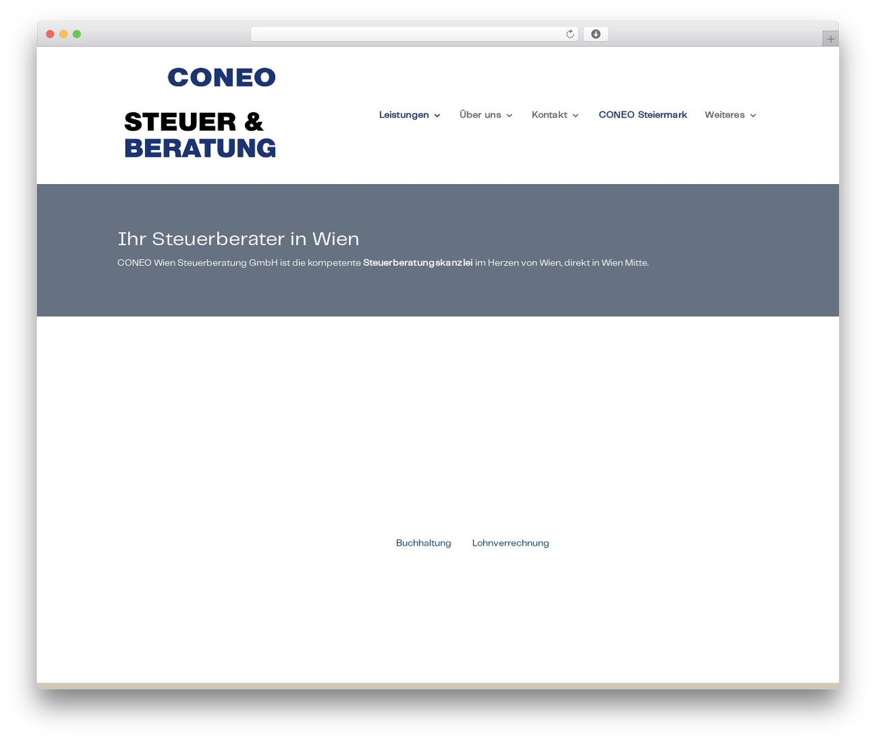 WordPress theme Divi - steuer-und-beratung.com