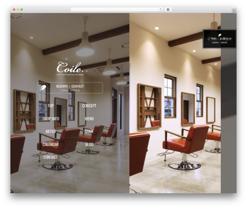 Enc_func WordPress plugin - coile.jp