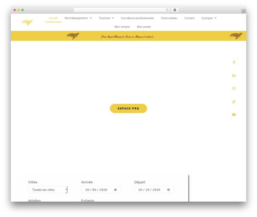 Hello Elementor theme WordPress - apartmoment.com