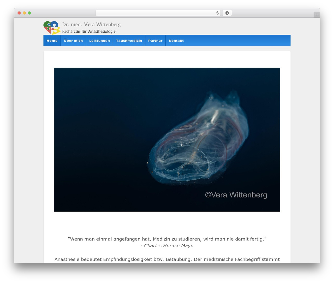 Responsive Pro theme WordPress - cyber-doc.de Responsive Pro theme WordPress - cyber-doc.de