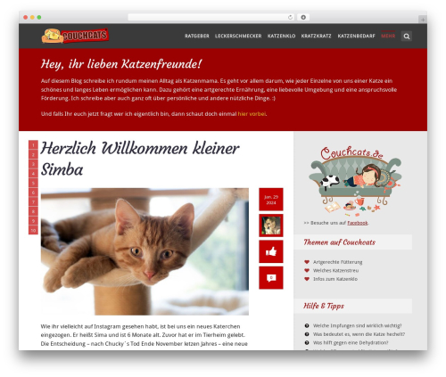 Amazon simple affiliate WordPress plugin - couchcats.de