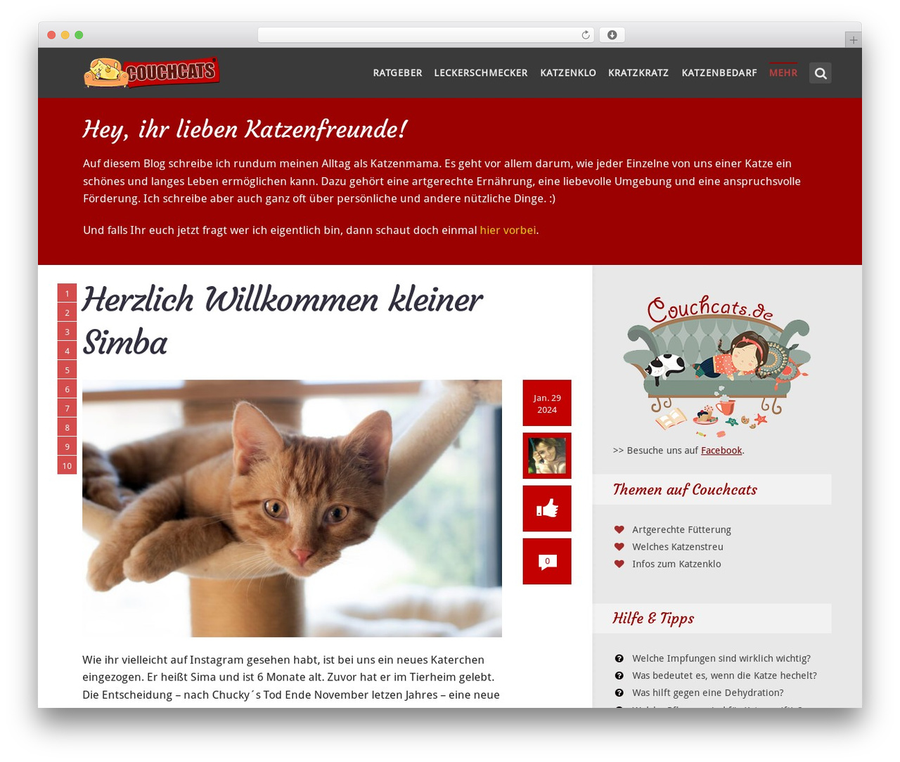 SeaShell theme WordPress - couchcats.de