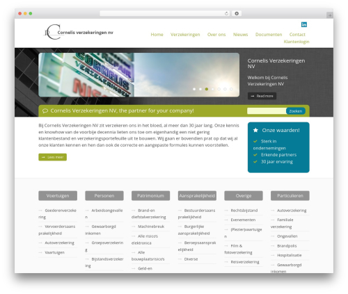 Theme WordPress Wireframe 2 - cornelisnv.be