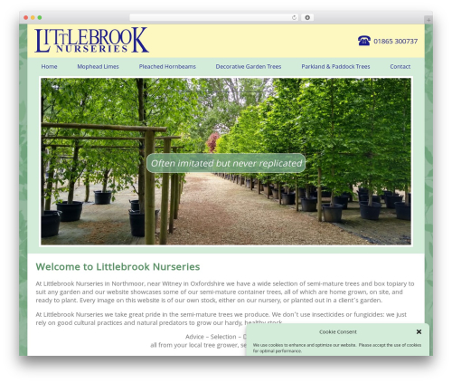 WordPress theme customTheme - littlebrook-nurseries.co.uk