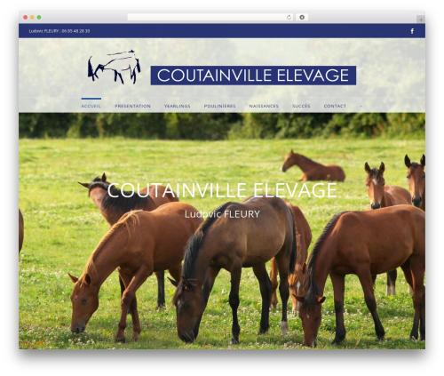 Widget Manager Light (widget-manager-light) free WordPress plugin - coutainville-elevage.com Widget Manager Light (widget-manager-light) free WordPress plugin - coutainville-elevage.com