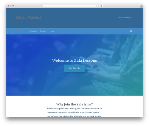 Pay with MTN MoMo in WooCommerce (pay-with-mtn-momo-woocommerce) free WordPress plugin - zalalessons.com