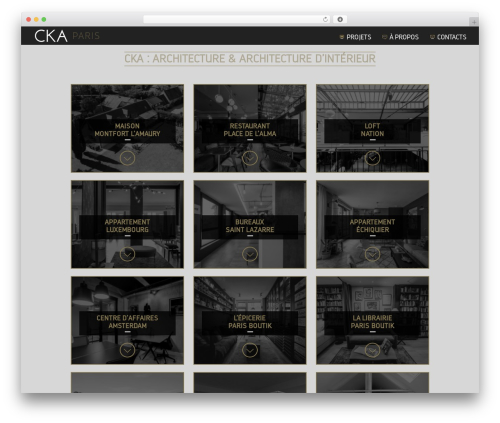 CKA theme WordPress theme design - ckaparis.com