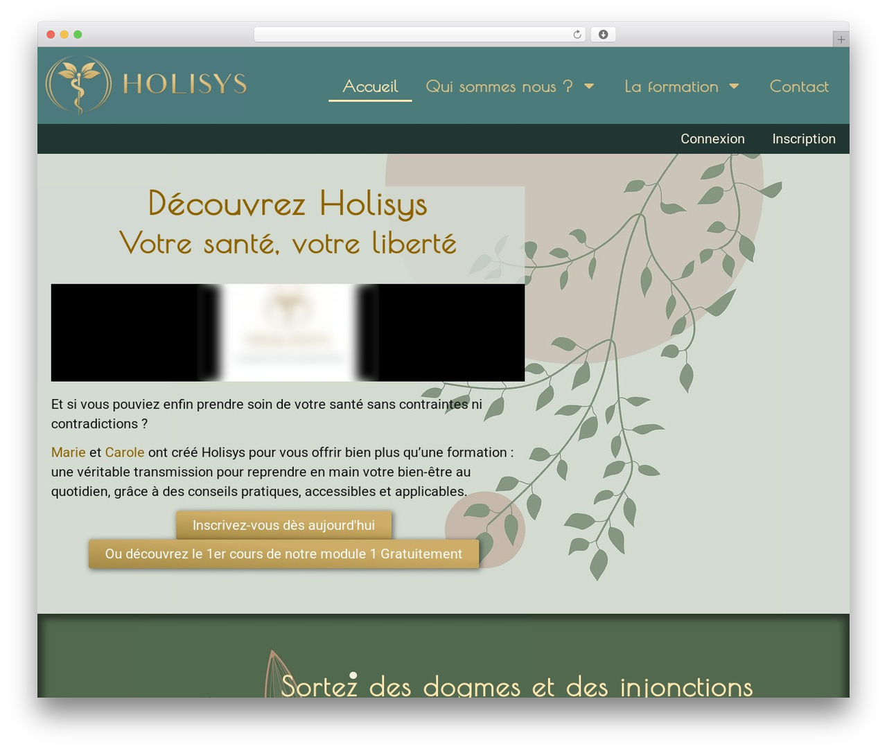 Hello Elementor theme WordPress - holisys.ch Hello Elementor theme WordPress - holisys.ch