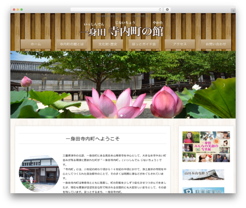 Lightning skin charm WordPress plugin - jinai-yakata.com
