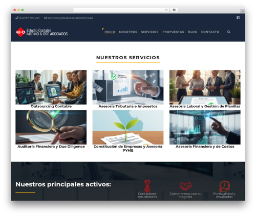 ThemeMove Core (thememove-core) free WordPress plugin - estudiocontablemerino.pe