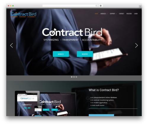 Simple visitor stat WordPress plugin - contractbird.com