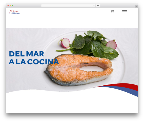Themify builder pro WordPress plugin - fidemus.es