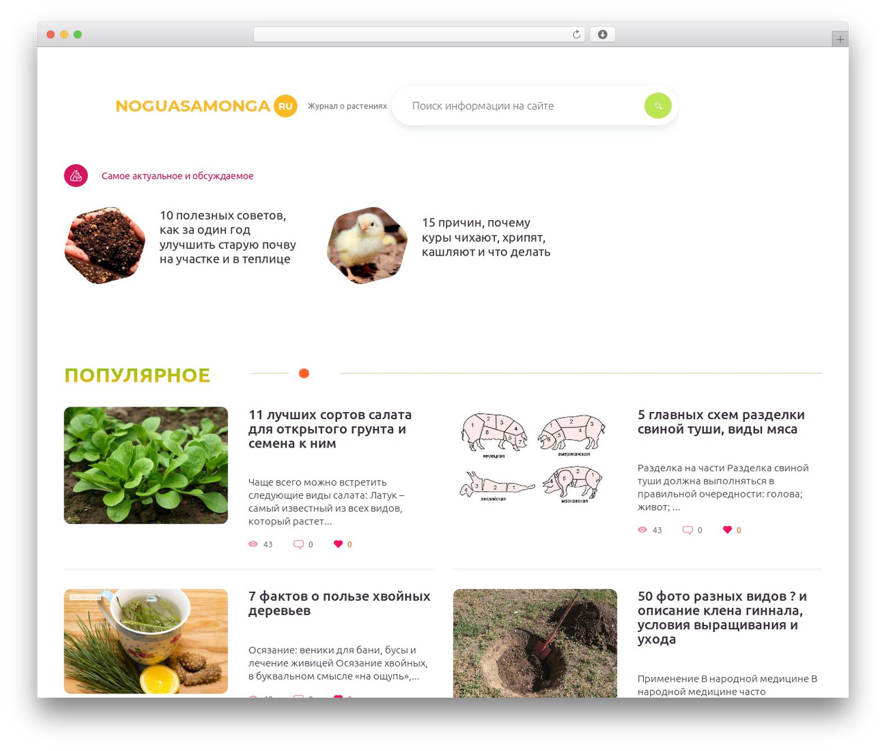 WordPress theme Srazu - noguasamonga.ru