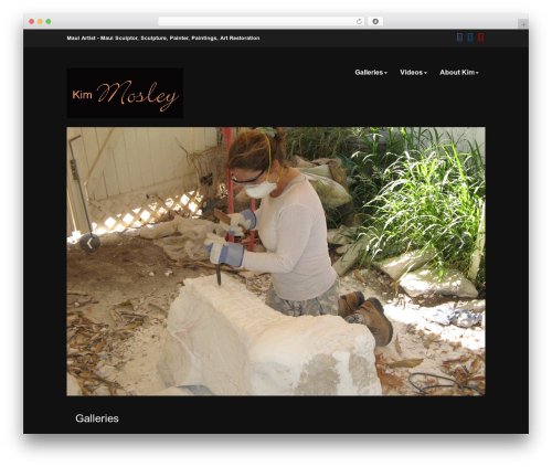 WordPress NextGen GalleryView (wordpress-nextgen-galleryview) free WordPress plugin - kimmosleycreations.com