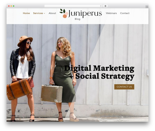 Wp hummingbird WordPress plugin - juniperus.co