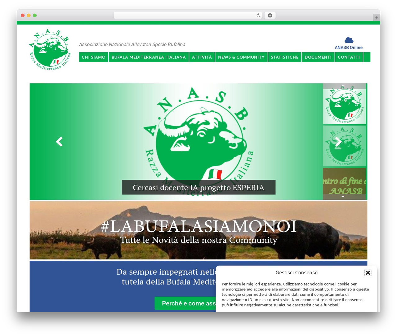 JupiterX theme WordPress - anasb.it JupiterX theme WordPress - anasb.it