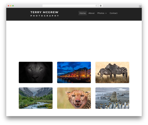 Theme WordPress Premium Theme - terrymcgrew.com