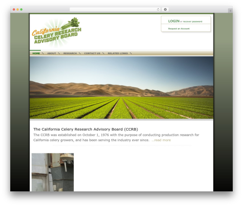 WordPress theme Builder - calcelery.com