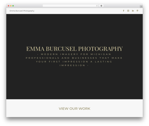 WordPress theme Divi - facesoflaw.com