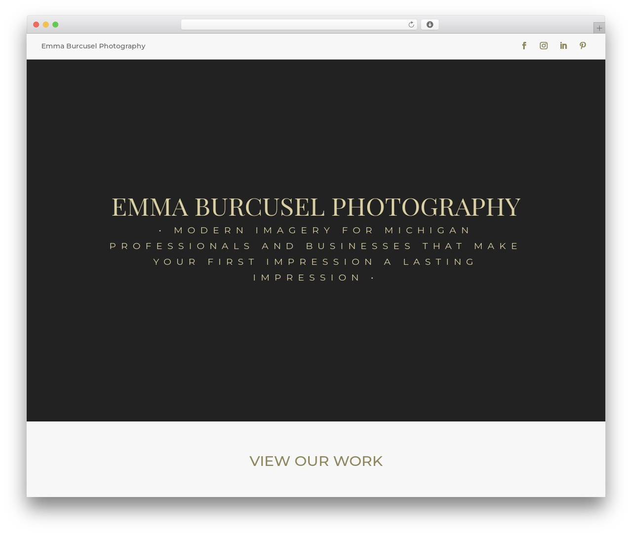 WordPress theme Divi - facesoflaw.com
