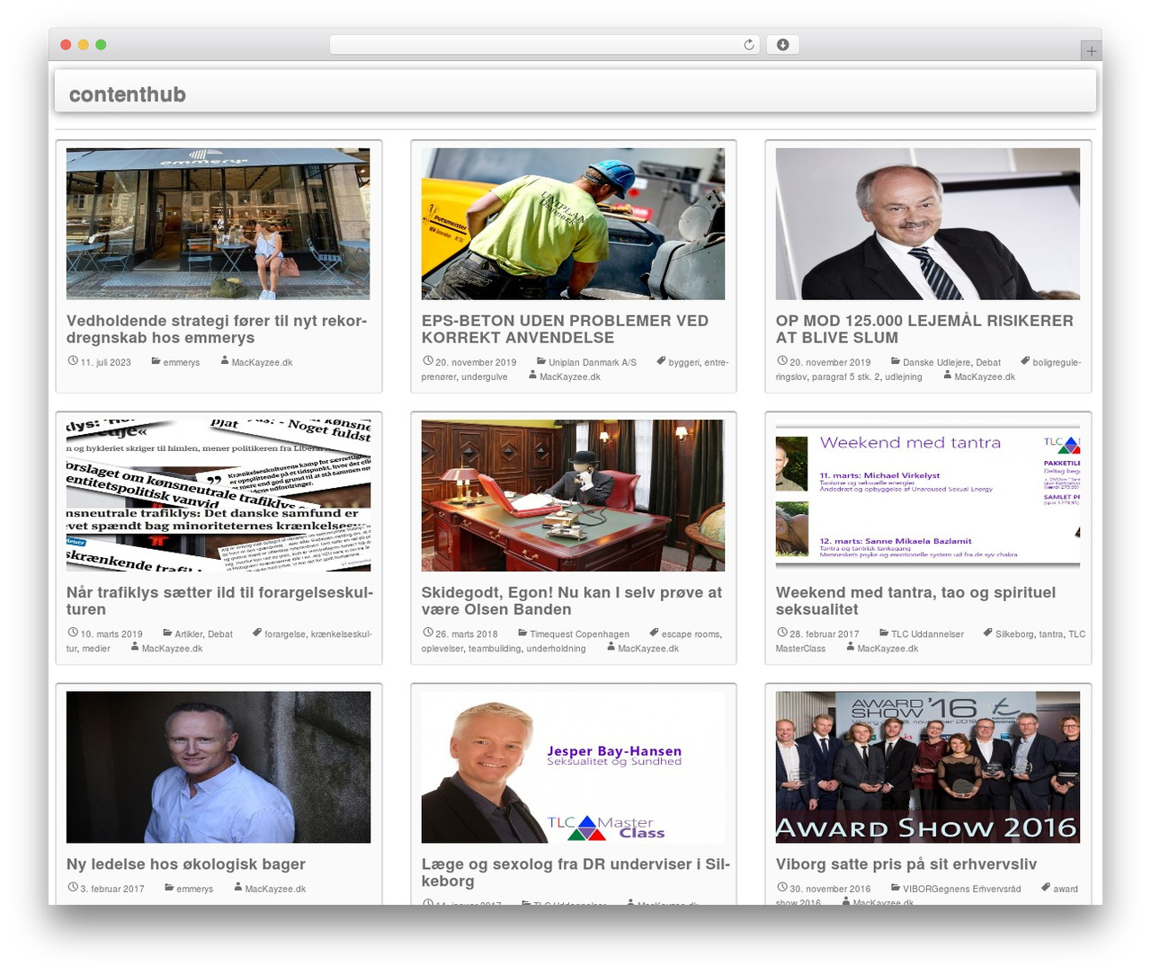 WP StrapGrid Lite WordPress theme - contenthub.dk