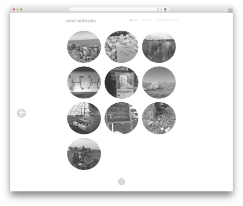 cc2 WordPress theme design - carolcultivates.com cc2 WordPress theme design - carolcultivates.com