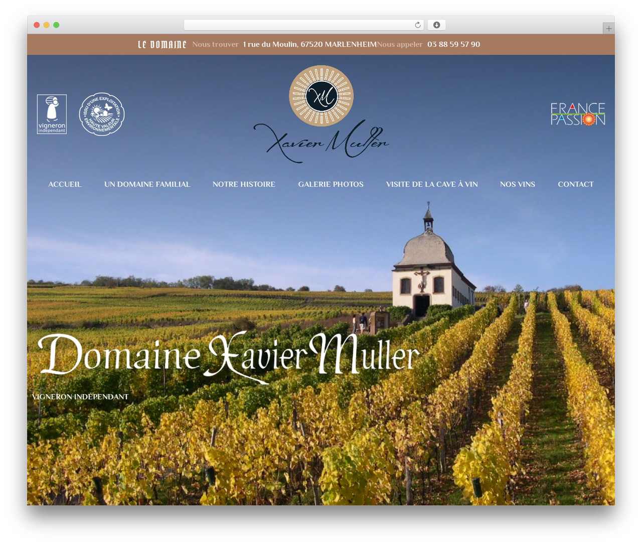 Hello Elementor premium WordPress theme - vin-alsace-muller.fr Hello Elementor premium WordPress theme - vin-alsace-muller.fr