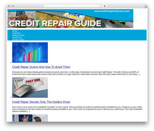 SG3 WordPress theme design - debthelpandloans.com