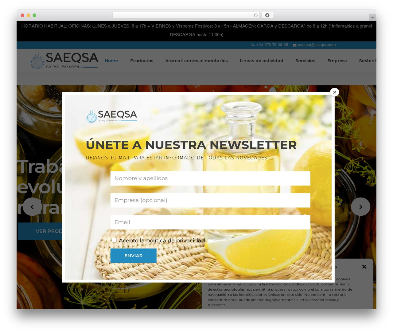 Theme WordPress Bridge - saeqsa.com