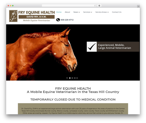Magee Shortcodes (magee-shortcodes) free WordPress plugin - fryequinehealth.com Magee Shortcodes (magee-shortcodes) free WordPress plugin - fryequinehealth.com