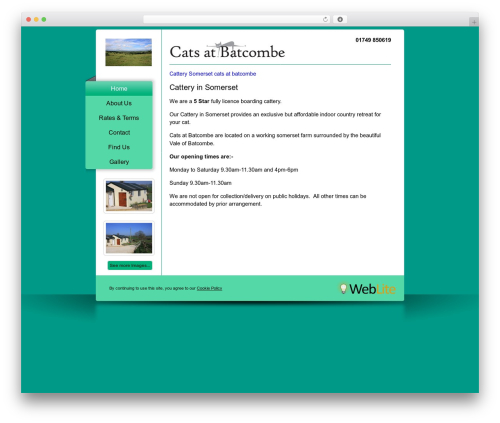 WebLite theme WordPress - catsatbatcombe.co.uk