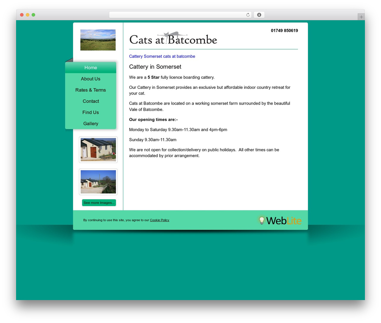 WebLite theme WordPress - catsatbatcombe.co.uk
