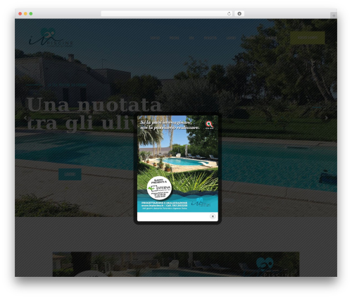 WordPress theme Bassein - inpiscine.it