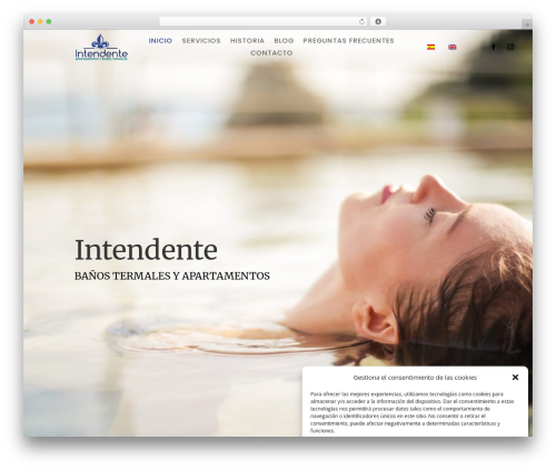 Divi accessibility 2.0.5 WordPress plugin - xn--baostermalesdemula-o0b.com
