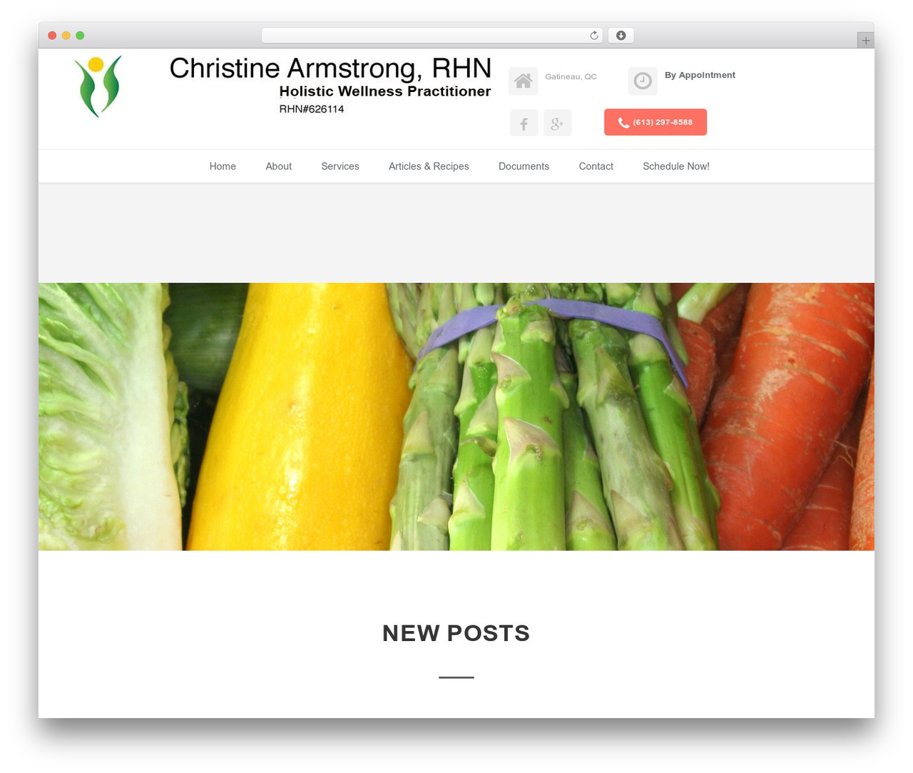 WordPress theme Doctors PRO - christinearmstrong.ca