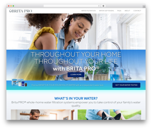Wp quiz pro WordPress plugin - britapro.com