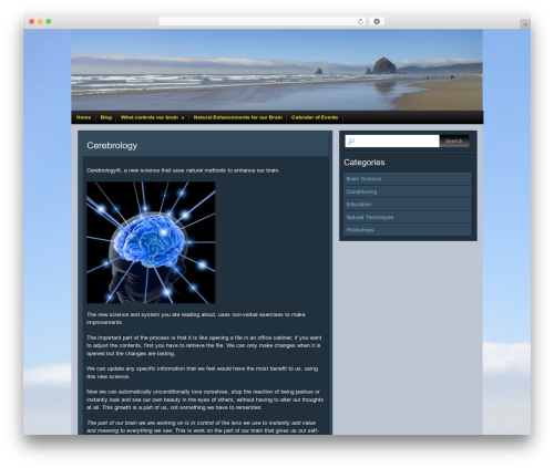 Chip Zero WordPress page theme - cerebrology.org Chip Zero WordPress page theme - cerebrology.org