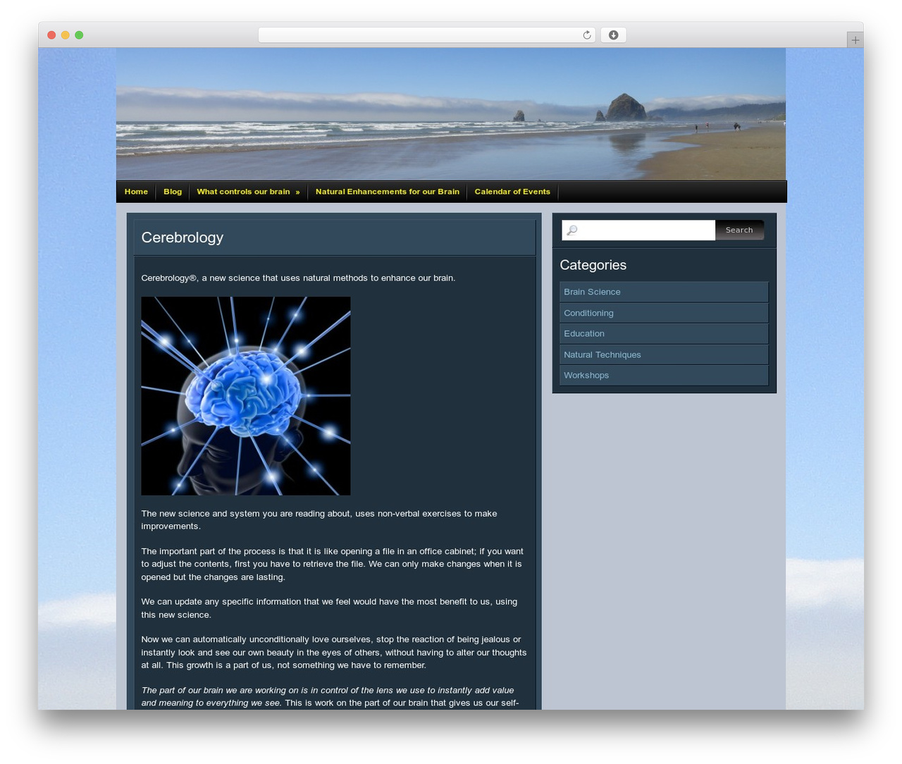 Chip Zero WordPress page theme - cerebrology.org Chip Zero WordPress page theme - cerebrology.org