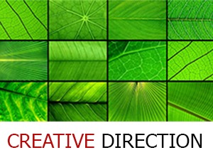 Creative Direction WordPress theme design