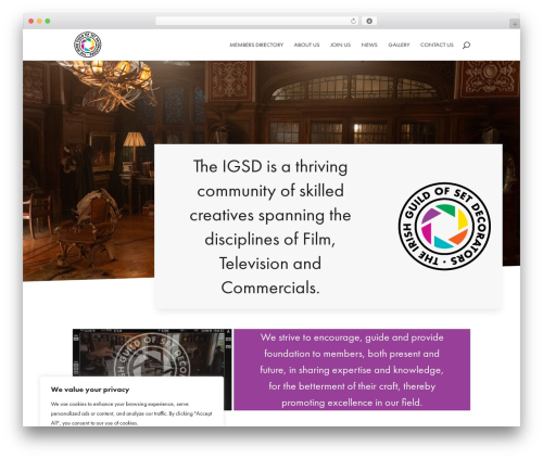 Divi ajax search WordPress plugin - irishguildofsetdecorators.com