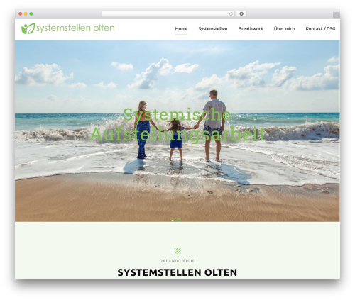 Keyword Rank Tracker (serp-rank) free WordPress plugin - systemstellen-olten.ch