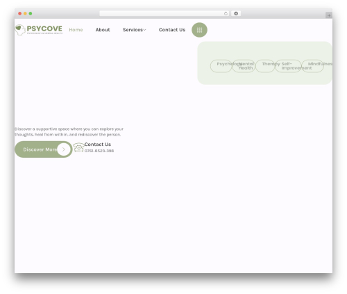 Pro elements 2 WordPress plugin - amiinc.org