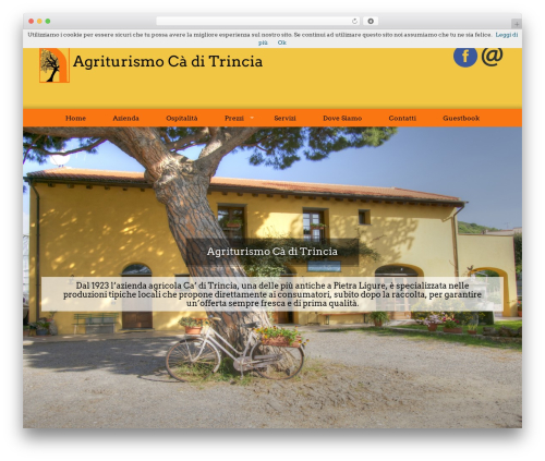 InDreams WordPress theme - caditrincia.it