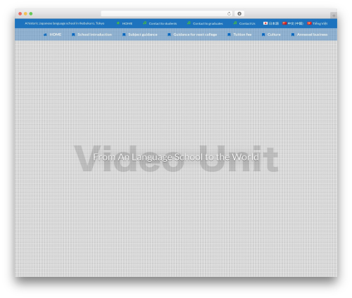 Lightning video unit WordPress plugin - an-js.com