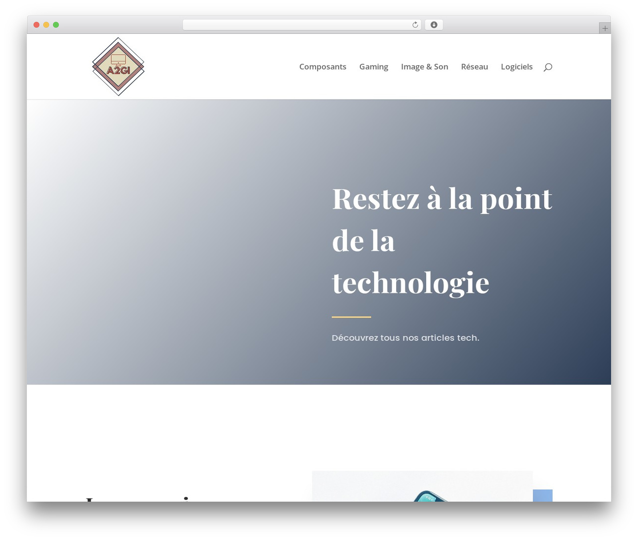 WordPress theme Divi - a2gi.net WordPress theme Divi - a2gi.net