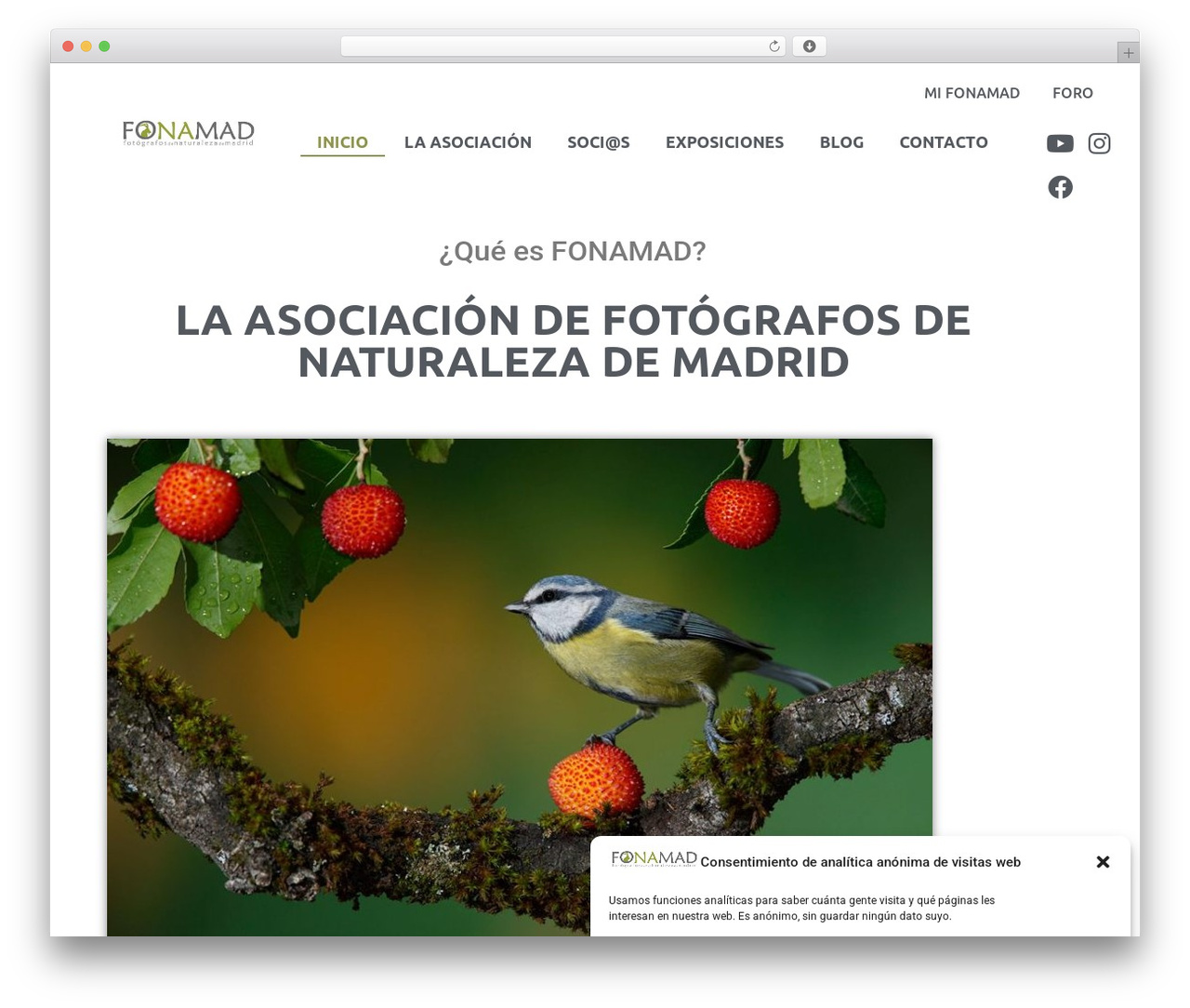 Hello Elementor theme WordPress - fonamad.org Hello Elementor theme WordPress - fonamad.org