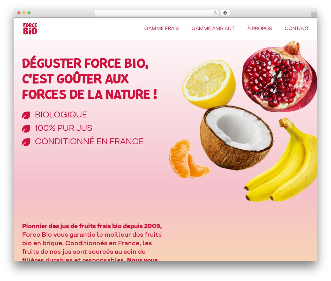 Template WordPress theme - forcebio.com