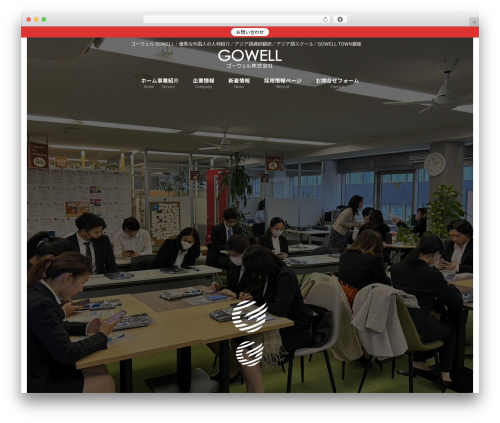 Vk blocks pro WordPress plugin - gowell-japan.com