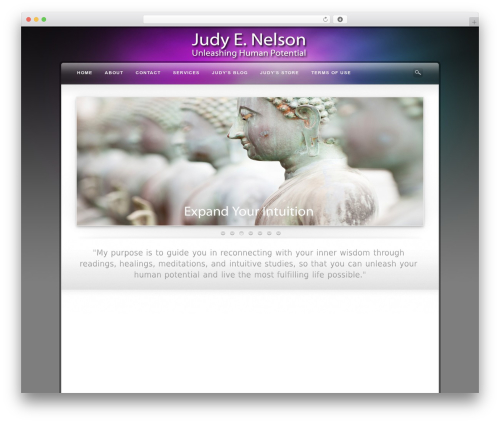 Ithemes exchange WordPress plugin - judyenelson.com/?doing_wp_cron=1447333503.5604419708251953125000