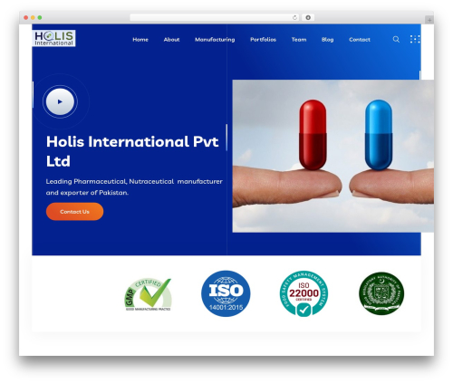 WordPress theme Braintech - holis-int.com